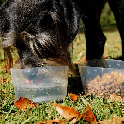 Comedero Plegable Mobowl 3 Comedero Plegable Mobowl - Imagen 3