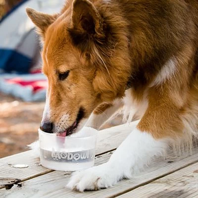 Comedero Plegable Mobowl 2 Comedero Plegable Mobowl - Imagen 2