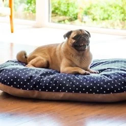 Cojín De Espelta Aumüller Para Perros 10 Cojín De Espelta Aumüller Para Perros -Trixie Ventas 121697 aumueller dinkelkissen hs 05 3