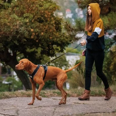 Julius K9 Arnés Para Perros JULIUS-K9 IDC® Longwalk Negro Y Gris 9 Julius K9 Arnés Para Perros JULIUS-K9 IDC® Longwalk Negro Y Gris - Imagen 9