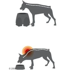 Comedero Alto Savic Ergo Feeder -Trixie Ventas 125461 savic ergofeeder3 1