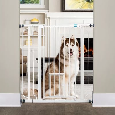 Barrera Carlson Pet Gate Extra Alta Con Puerta Gatera 1 Barrera Carlson Pet Gate Extra Alta Con Puerta Gatera