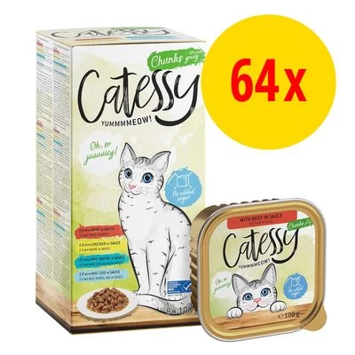 Catessy En Tarrinas 64 X 100 G - Pack Mixto 1 Catessy En Tarrinas 64 X 100 G - Pack Mixto