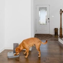 Comedero Automático Doble PetSafe® Para Mascotas 18 Comedero Automático Doble PetSafe® Para Mascotas -Trixie Ventas 145997 rasiosystems petsafe futterautomat 2mahlzeiten catdog 2x355xml hs 09 6