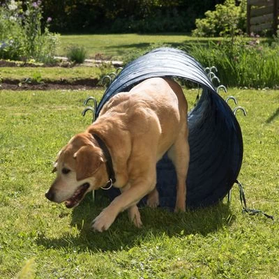 Túnel Agility Trixie 3 Túnel Agility Trixie - Imagen 3