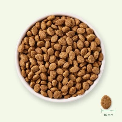 Yarrah Senior Pienso Ecológico Con Pollo Para Perros 3 Yarrah Senior Pienso Ecológico Con Pollo Para Perros - Imagen 3