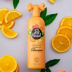 Pet Head Ditch The Dirt Champú Para Perros -Trixie Ventas 159700 companyofanimals pethead ditchthedirt shampoo 300ml hs 03 1
