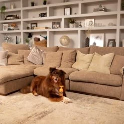 Pet Head Ditch The Dirt Champú Para Perros -Trixie Ventas 159700 companyofanimals pethead ditchthedirt shampoo 300ml hs 06 9