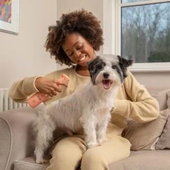 Pet Head Quick Fix Champú En Seco Para Perros 8 Pet Head Quick Fix Champú En Seco Para Perros -Trixie Ventas 159702 companyofanimals pethead quickfixspray 300ml hs 05 3