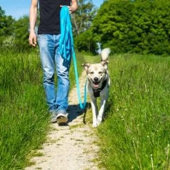 Petlando Correa Larga Para Perros Pawz & Pepper Strong Azul 12 Petlando Correa Larga Para Perros Pawz & Pepper Strong Azul -Trixie Ventas 174796 174797 pawznpepper schleppleine rund geflochten blau hs 05 6