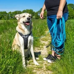 Petlando Correa Larga Para Perros Pawz & Pepper Strong Azul 14 Petlando Correa Larga Para Perros Pawz & Pepper Strong Azul -Trixie Ventas 174796 174797 pawznpepper schleppleine rund geflochten blau hs 06 9