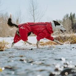 Chubasquero Bare Berry Hurtta Para Perros 19 Chubasquero Bare Berry Hurtta Para Perros -Trixie Ventas 186544 186545 186546 186547 186548 186549 hurtta forzooplus bare regenoverall berry hs 10 6