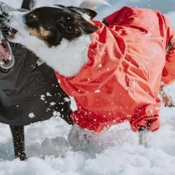 Chubasquero Bare Berry Hurtta Para Perros 20 Chubasquero Bare Berry Hurtta Para Perros -Trixie Ventas 186544 186545 186546 186547 186548 186549 hurtta forzooplus bare regenoverall berry hs 11 5