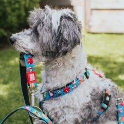 Arnés Max & Molly Little Monsters Para Perros 16 Arnés Max & Molly Little Monsters Para Perros -Trixie Ventas 186583 186584 189797 maxnmolly hg eschirr littlemonsters hs 01 7
