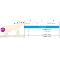 Collar Max & Molly Little Monsters Con Smart ID Para Perros -Trixie Ventas 186585 189896 189897 186586 maxnmolly smartid halsband littlemonsters dog hs 08 2