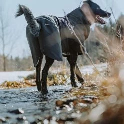 Chubasquero Bare Coal Hurtta Para Perros 22 Chubasquero Bare Coal Hurtta Para Perros -Trixie Ventas 188096 188096 186536 186537 186538 186539 186540 hurtta forzooplus bare regenmantel coal hs 10 0
