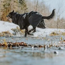 Chubasquero Bare Coal Hurtta Para Perros 16 Chubasquero Bare Coal Hurtta Para Perros -Trixie Ventas 188096 188096 186536 186537 186538 186539 186540 hurtta forzooplus bare regenmantel coal hs 11 1