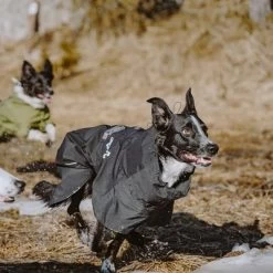 Chubasquero Bare Coal Hurtta Para Perros 23 Chubasquero Bare Coal Hurtta Para Perros -Trixie Ventas 188096 188096 186536 186537 186538 186539 186540 hurtta forzooplus bare regenmantel coal hs 12 3