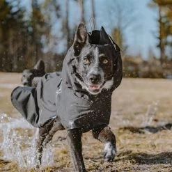 Chubasquero Bare Coal Hurtta Para Perros 21 Chubasquero Bare Coal Hurtta Para Perros -Trixie Ventas 188096 188096 186536 186537 186538 186539 186540 hurtta forzooplus bare regenmantel coal hs 13 5