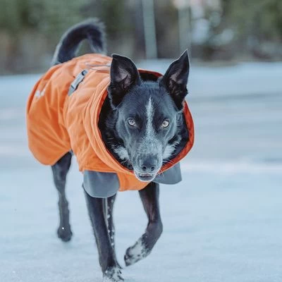 Abrigo Invernal Bare Sunrise Hurtta Para Perros 4 Abrigo Invernal Bare Sunrise Hurtta Para Perros - Imagen 4