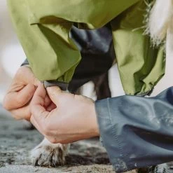 Chubasquero Bare Pine Hurtta Para Perros 16 Chubasquero Bare Pine Hurtta Para Perros -Trixie Ventas 188303 188304 188305 188396 186542 186543 hurtta forzooplus bare regenoverall pine hs 07 8