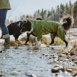 Chubasquero Bare Pine Hurtta Para Perros 13 Chubasquero Bare Pine Hurtta Para Perros -Trixie Ventas 188303 188304 188305 188396 186542 186543 hurtta forzooplus bare regenoverall pine hs 09 1