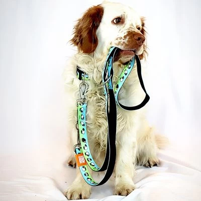 Correa Ajustable Max & Molly Black Sheep Para Perros 2 Correa Ajustable Max & Molly Black Sheep Para Perros - Imagen 2