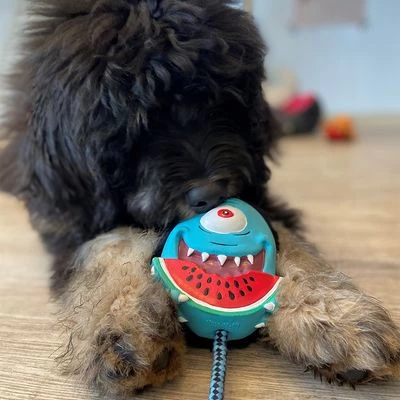 Max & Molly Bubba King Juguete De Látex Para Perros 4 Max & Molly Bubba King Juguete De Látex Para Perros - Imagen 4