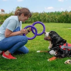 Ferplast Puller Juguete Para Perros 22 Ferplast Puller Juguete Para Perros -Trixie Ventas 199296 ferplastitalien ferplast hundespielzeug puller midi 27cm hs 11 7