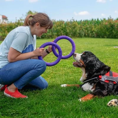 Ferplast Puller Juguete Para Perros 8 Ferplast Puller Juguete Para Perros - Imagen 8
