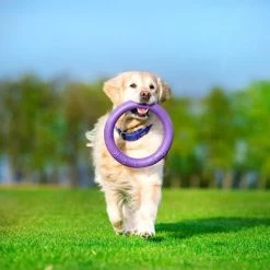 Ferplast Puller Juguete Para Perros 25 Ferplast Puller Juguete Para Perros -Trixie Ventas 199296 ferplastitalien ferplast hundespielzeug puller midi 27cm hs 16 5