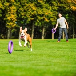 Ferplast Puller Juguete Para Perros 26 Ferplast Puller Juguete Para Perros -Trixie Ventas 199296 ferplastitalien ferplast hundespielzeug puller midi 27cm hs 17 7