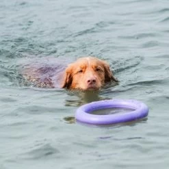 Ferplast Puller Juguete Para Perros 27 Ferplast Puller Juguete Para Perros -Trixie Ventas 199296 ferplastitalien ferplast hundespielzeug puller midi 27cm hs 19 0