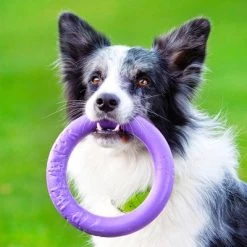 Ferplast Puller Juguete Para Perros 29 Ferplast Puller Juguete Para Perros -Trixie Ventas 199297 ferplastitalien ferplast hundespielzeug puller midi 19cm hs 16 9