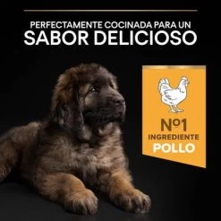 PURINA PRO PLAN Large Robust Puppy Healthy Start 15 PURINA PRO PLAN Large Robust Puppy Healthy Start -Trixie Ventas 1 44142748 es es 221230 1 8