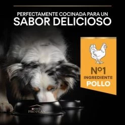 PURINA PRO PLAN Medium & Large Adult 7+ Age Defence -Trixie Ventas 1 44152668 es es 221230 1 5