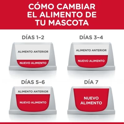 Hill's Science Plan Hill's Adult 1+ Sensitive Stomach & Skin Medium Science Plan Con Pollo 3 Hill's Science Plan Hill's Adult 1+ Sensitive Stomach & Skin Medium Science Plan Con Pollo - Imagen 3