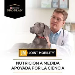 Purina JM Joint Mobility Pienso Para Perros -Trixie Ventas 1 puppvdddppvjm22endoles 220629 1 1656654162025 6