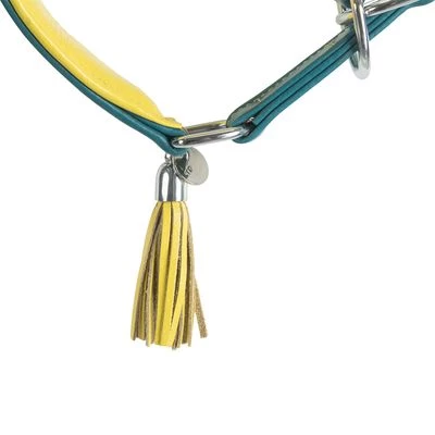 Collar Para Galgos Trixie Active Comfort Verde Petróleo/amarillo 6 Collar Para Galgos Trixie Active Comfort Verde Petróleo/amarillo - Imagen 6