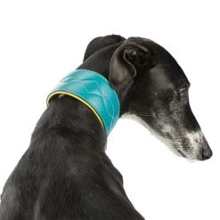 Collar Para Galgos Trixie Active Comfort Verde Petróleo/amarillo 9 Collar Para Galgos Trixie Active Comfort Verde Petróleo/amarillo -Trixie Ventas 200313 202100 200314 200315 trixie active comfort halsband windhunde hs 05 6
