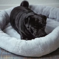 Cama Térmica HAFENBANDE Flory -Trixie Ventas 200322 waagenschmitt hafenbande heizmatte flory hs 11 8