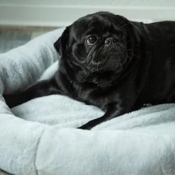 Cama Térmica HAFENBANDE Flory -Trixie Ventas 200322 waagenschmitt hafenbande heizmatte flory hs 12 1