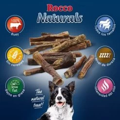 PROMO: 100 Uds. X Rocco Nervio De Buey 12 Cm 9 PROMO: 100 Uds. X Rocco Nervio De Buey 12 Cm -Trixie Ventas 2019 09 rocco naturals pizzle 1000x1000 es 7
