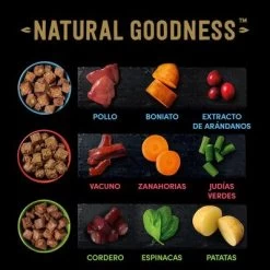 Cesar Natural Goodness Latas Para Perros 16 Cesar Natural Goodness Latas Para Perros -Trixie Ventas 2022 04 cesar naturalgoodness ingredients 1000x1000 es 2