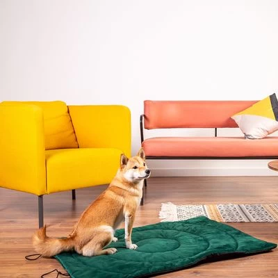 Esterilla De Viaje Brújula Para Perros 11 Esterilla De Viaje Brújula Para Perros - Imagen 11