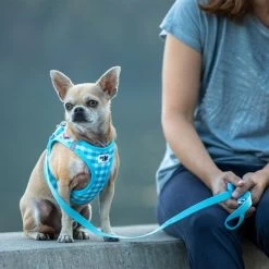 Set Curli: Arnés Vest Air-Mesh + Correa Basic Caro Azul Cielo 11 Set Curli: Arnés Vest Air-Mesh + Correa Basic Caro Azul Cielo -Trixie Ventas 204197 204198 203950 204199 curli vest geschirr airmesh basic leine skyblue caro hs 04 2