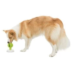 Trixie Licking Ball Pelota Rellenable Para Perros 19 Trixie Licking Ball Pelota Rellenable Para Perros -Trixie Ventas 209078 trixie licknsnack ball hs 09 6