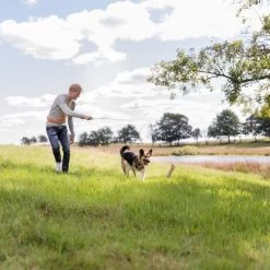 Trixie Caña Estimulante Juguete De Adiestramiento Para Perros 12 Trixie Caña Estimulante Juguete De Adiestramiento Para Perros -Trixie Ventas 209093 trixie reizangel hs 06 8