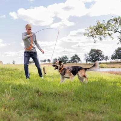 Trixie Caña Estimulante Juguete De Adiestramiento Para Perros 6 Trixie Caña Estimulante Juguete De Adiestramiento Para Perros - Imagen 6