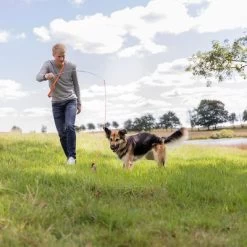 Trixie Caña Estimulante Juguete De Adiestramiento Para Perros 14 Trixie Caña Estimulante Juguete De Adiestramiento Para Perros -Trixie Ventas 209093 trixie reizangel hs 08 7